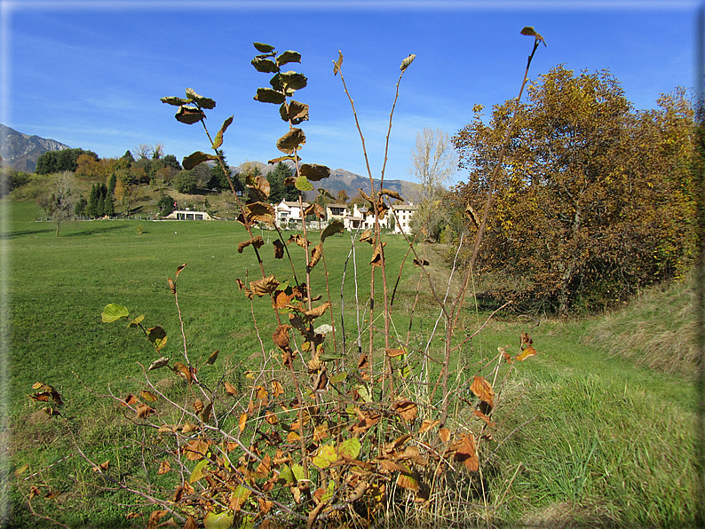 foto Alle pendici del Monte Grappa in Autunno